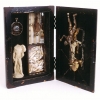 The Search for Cupids Arrow  12x13x7